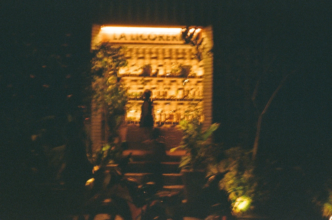 An illuminated wall of bottles seen through dark foliage