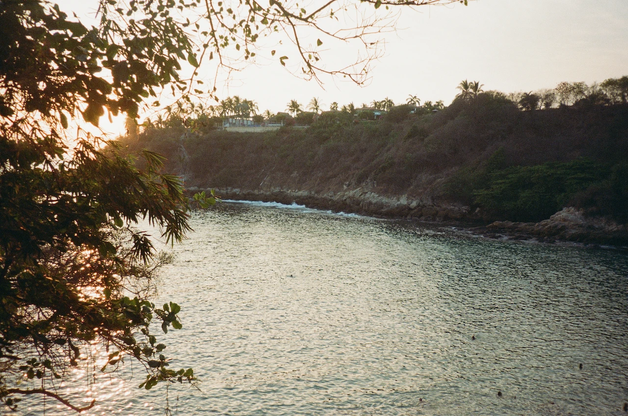 A small sheltered cove framed by trees and rocky shoreline