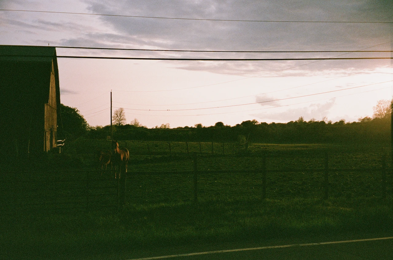 A dark green field beneath a pale overcast horizon