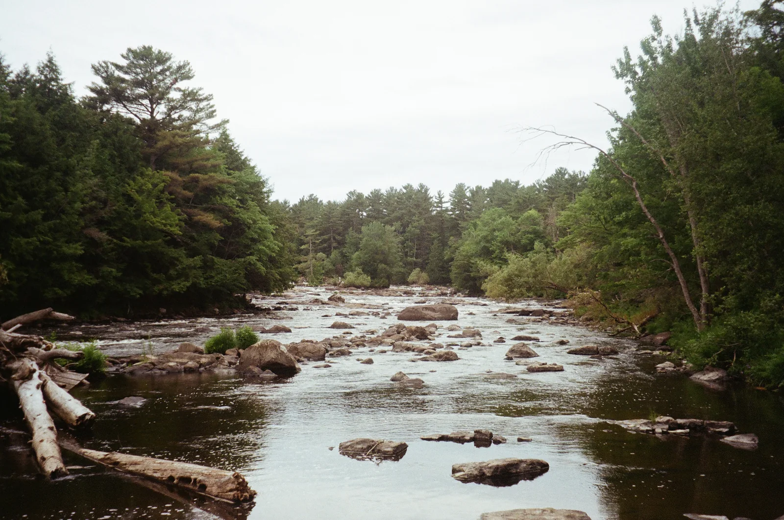 A rocky river winding through dense green forest