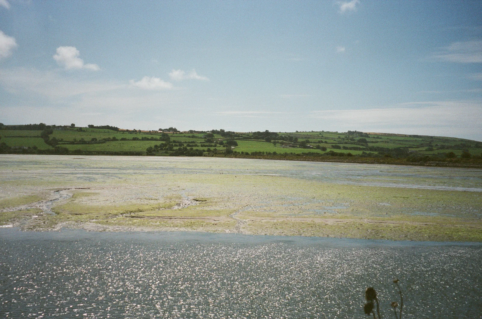 Sunlit tidal flats and green farmland beneath a blue sky