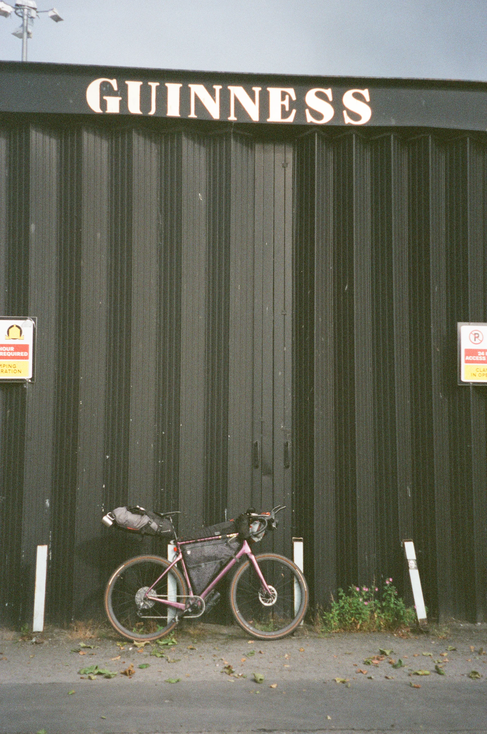 A purple touring bicycle leaning against a dark Guinness warehouse
