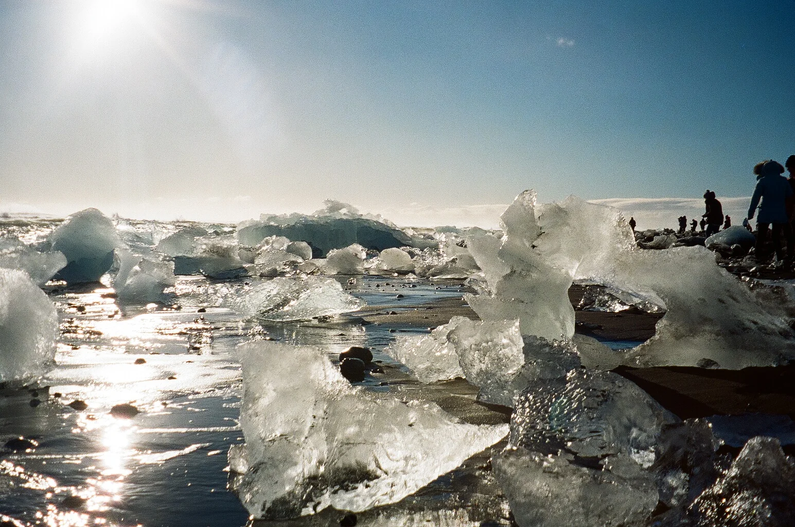 Translucent chunks of ice sparkling along a dark shoreline